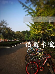 信用卡逾期报警警察会通知呀