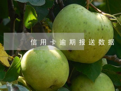 信用卡逾期报送数据