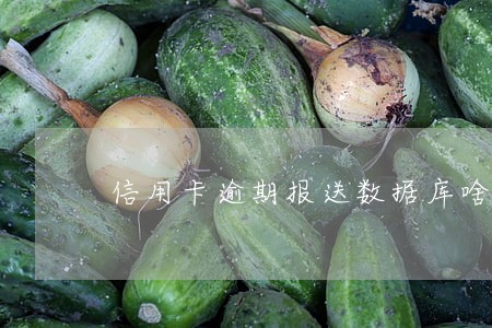 信用卡逾期报送数据库啥意思