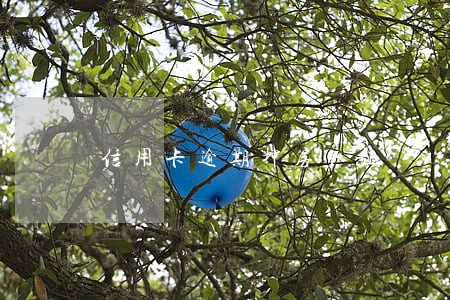 信用卡逾期押房产证 信用卡逾期押房产证