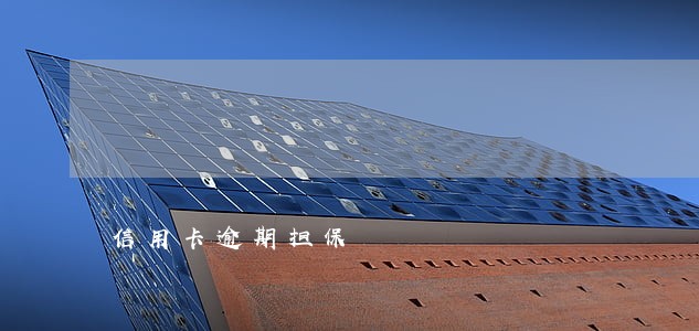 信用卡逾期担保 信用卡逾期担保