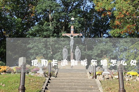 信用卡逾期拆东墙怎么处理 信用卡逾期拆东墙怎么处理