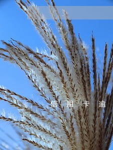 信用卡逾期拉征信