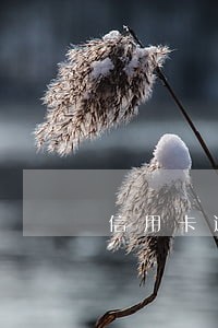 信用卡逾期拉黑冻结
