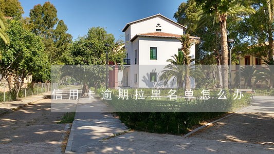 信用卡逾期拉黑名单怎么办