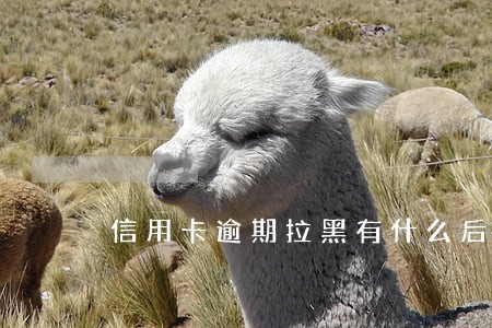信用卡逾期拉黑有什么后果 信用卡逾期拉黑有什么后果