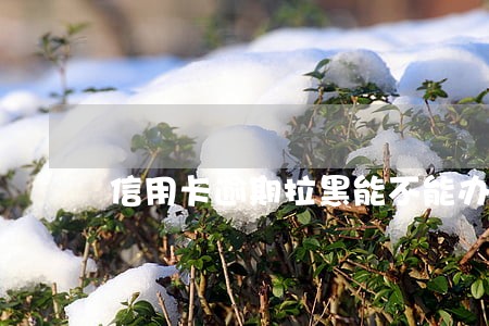 信用卡逾期拉黑能不能办护照