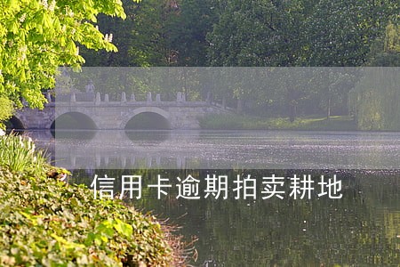 信用卡逾期拍卖耕地 信用卡逾期拍卖耕地