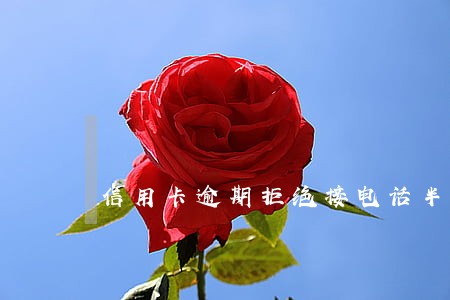 信用卡逾期拒绝接电话半年还款