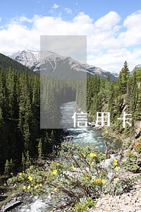 信用卡逾期拖延时间还会怎么样 信用卡逾期拖延时间还会怎么样