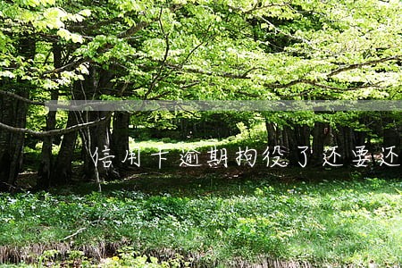 信用卡逾期拘役了还要还吗 信用卡逾期拘役了还要还吗