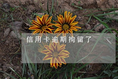 信用卡逾期拘留了 信用卡逾期拘留了