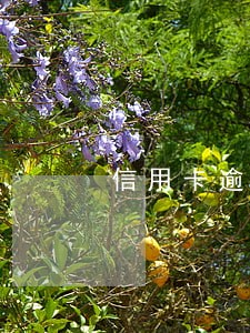 信用卡逾期拘留以后多久判刑 信用卡逾期拘留以后多久判刑