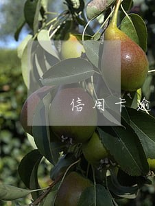 信用卡逾期拘留条件