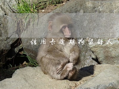 信用卡逾期拘留错人 信用卡逾期拘留错人