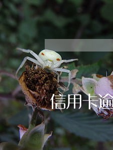 信用卡逾期招商b 信用卡逾期招商b