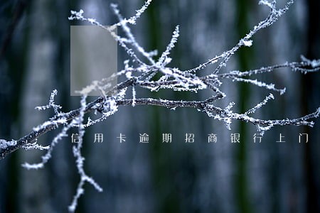 信用卡逾期招商银行上门 信用卡逾期招商银行上门