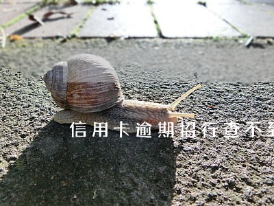 信用卡逾期招行查不到 信用卡逾期招行查不到