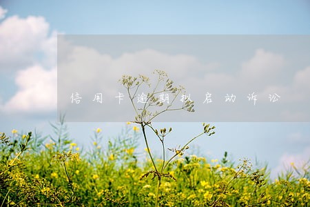 信用卡逾期拟启动诉讼 信用卡逾期拟启动诉讼