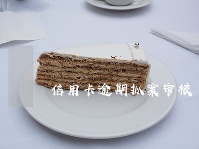 信用卡逾期拟案审核