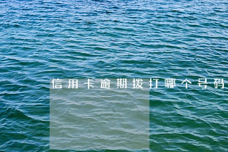 信用卡逾期拨打哪个号码 信用卡逾期拨打哪个号码