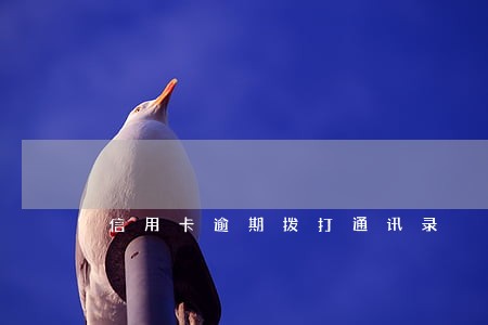 信用卡逾期拨打通讯录 信用卡逾期拨打通讯录