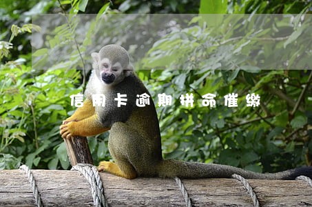 信用卡逾期拼命催缴