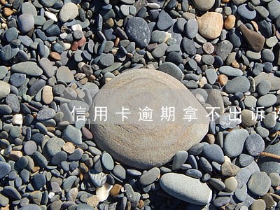 信用卡逾期拿不出诉讼费怎么办