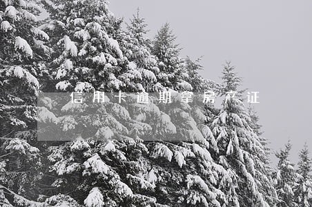 信用卡逾期拿房产证 信用卡逾期拿房产证
