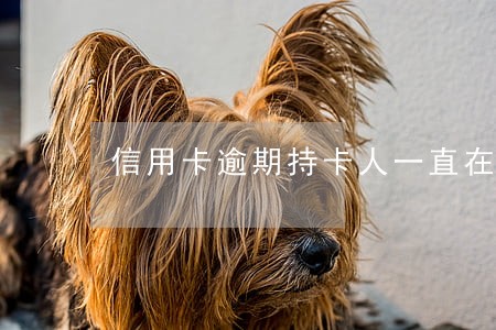信用卡逾期持卡人一直在失联 信用卡逾期持卡人一直在失联