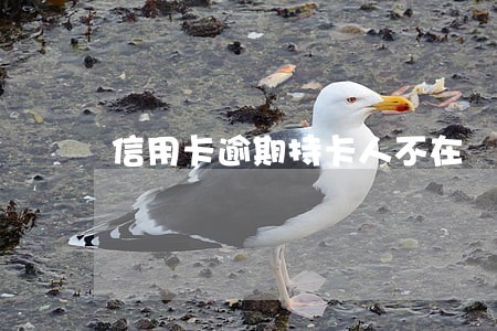 信用卡逾期持卡人不在