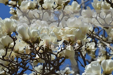 信用卡逾期持卡人信息有误 信用卡逾期持卡人信息有误