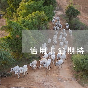 信用卡逾期持卡人在国外 信用卡逾期持卡人在国外