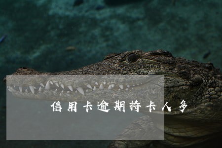 信用卡逾期持卡人多 信用卡逾期持卡人多