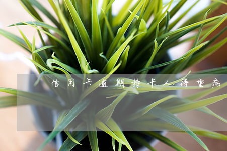 信用卡逾期持卡人得重病怎么办