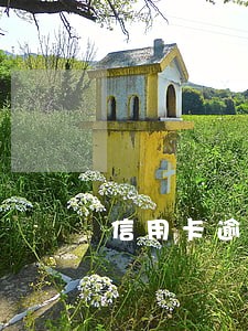 信用卡逾期持卡人福利 信用卡逾期持卡人福利