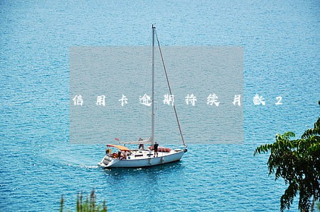 信用卡逾期持续月数2
