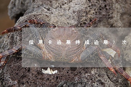 信用卡逾期持续逾期7次5年 信用卡逾期持续逾期7次5年