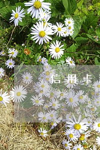 信用卡逾期挂号信需要签收么