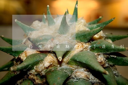 信用卡逾期挂失了还有利息吗 信用卡逾期挂失了还有利息吗