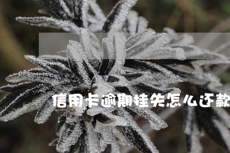 信用卡逾期挂失怎么还款 信用卡逾期挂失怎么还款