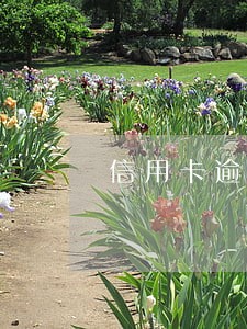 信用卡逾期挂网通知 信用卡逾期挂网通知