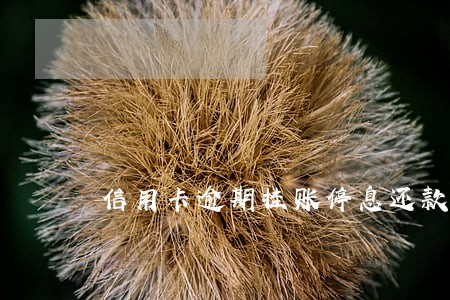 信用卡逾期挂账停息还款 信用卡逾期挂账停息还款