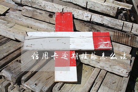 信用卡逾期挂账怎么谈 信用卡逾期挂账怎么谈