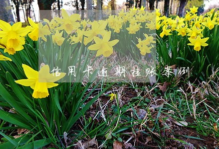 信用卡逾期挂账案例 信用卡逾期挂账案例