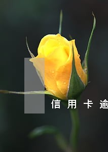 信用卡逾期挂账给你录音录像吗