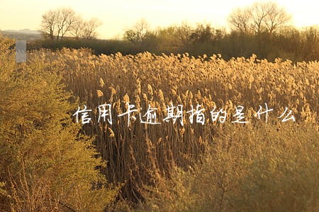 信用卡逾期指的是什么 信用卡逾期指的是什么