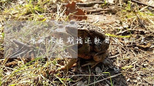 信用卡逾期指还款日过后几天