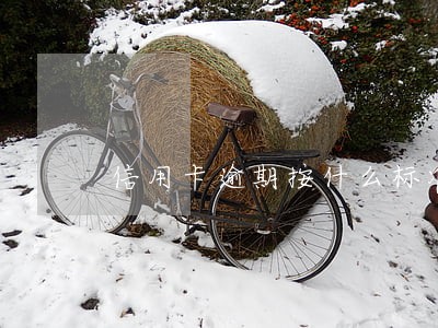 信用卡逾期按什么标准还款 信用卡逾期按什么标准还款
