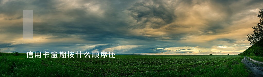 信用卡逾期按什么顺序还